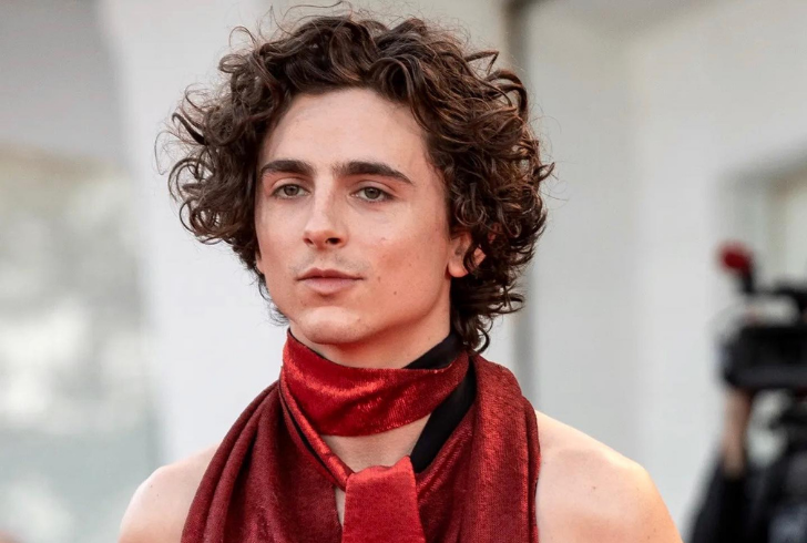 Despite the ongoing curiosity, the answer to "Is Timothée Chalamet Gay?" remains elusive, with the actor maintaining a level of privacy.