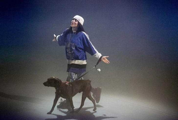 Billie Eilish performs new bold song